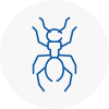 Ant Removals In Plymouth