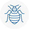 Bed Bug Extermination In Plymouth