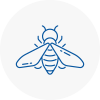 Bee Nest Removal Plymouth