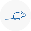 Mice Exterminators In Plymouth