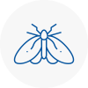 Moth Control Specialists In Plymouth