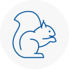 Plymouth Rodent Removals